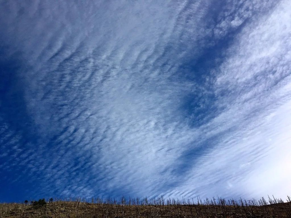 Will you dig a hole with me?