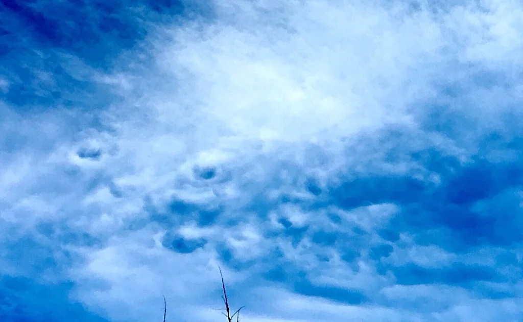 honey. honey. moon. moon.