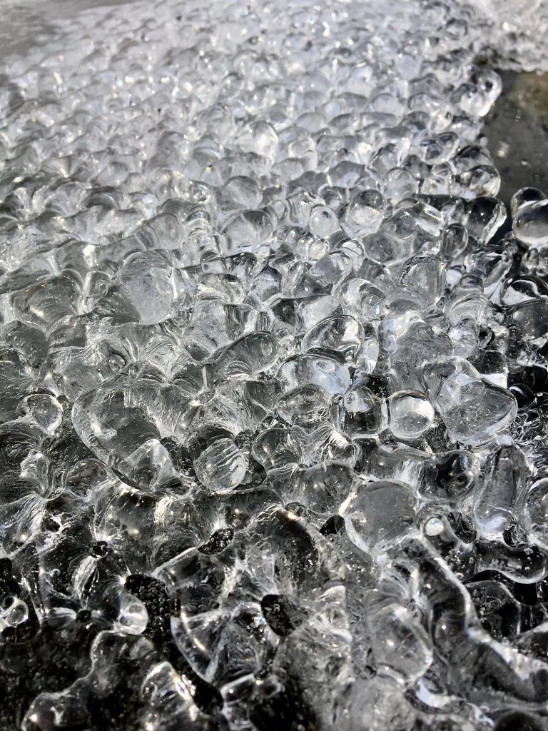 Dog Dance at The Denver Art Museum