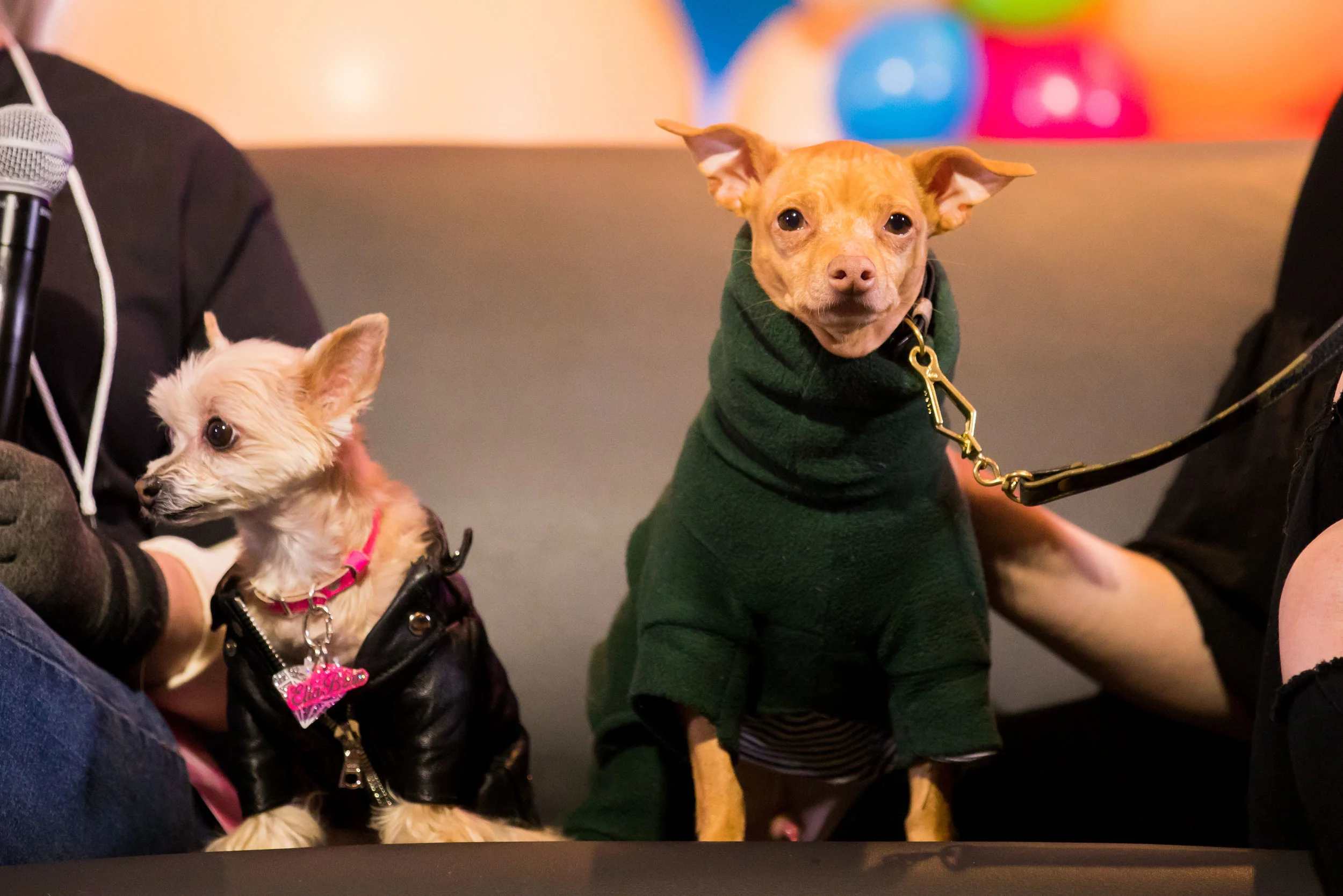 PETCON2018_0138.jpg