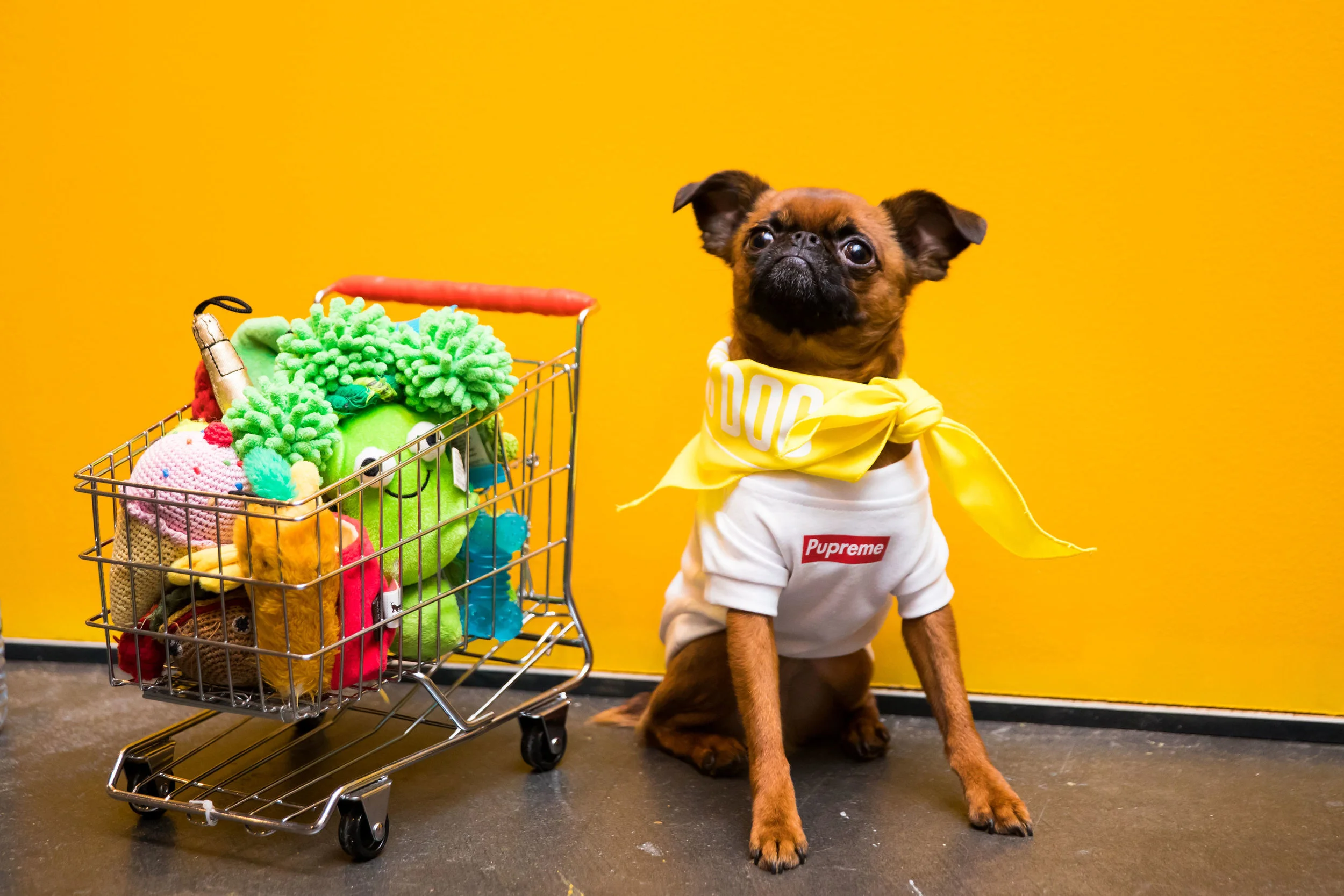 PETCON2018_0039.jpg