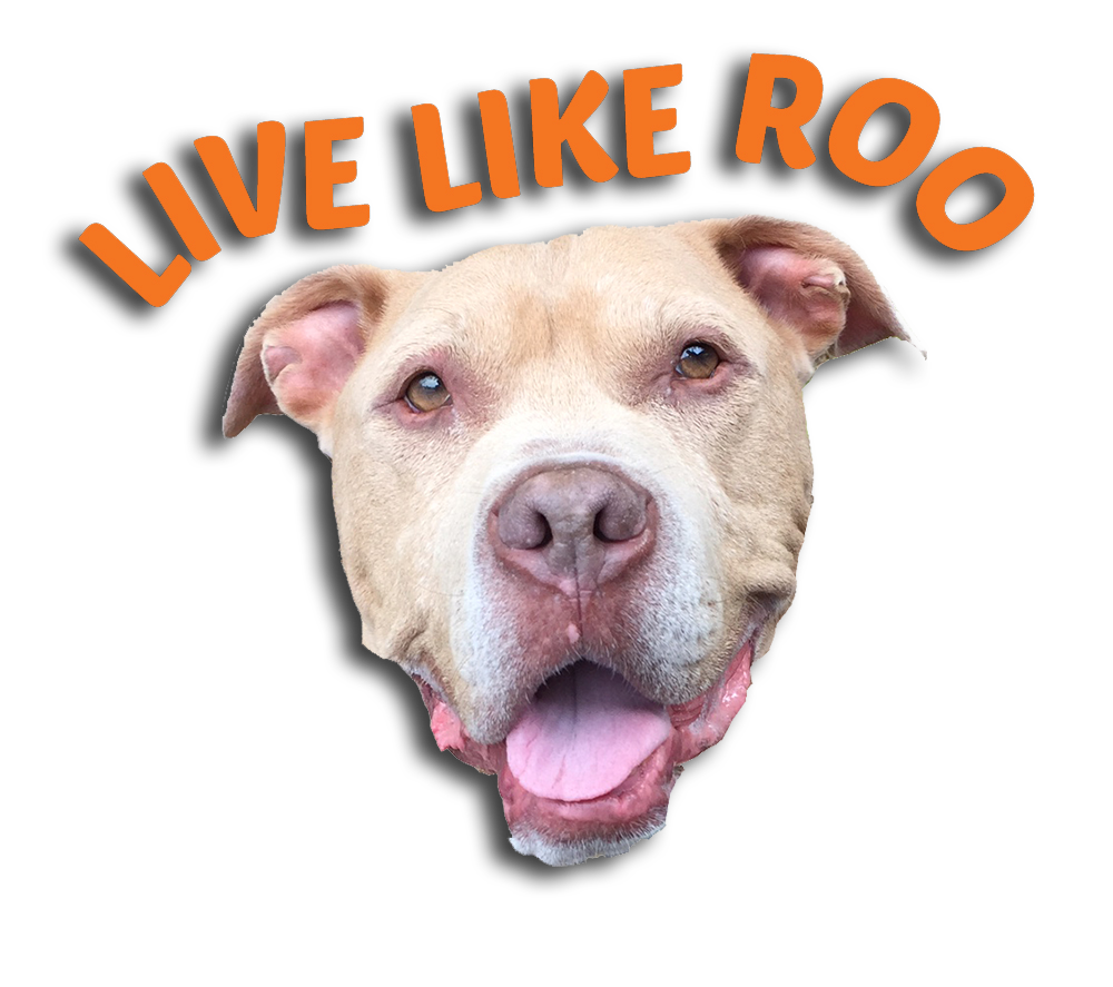 Live Like Roo Logo.png