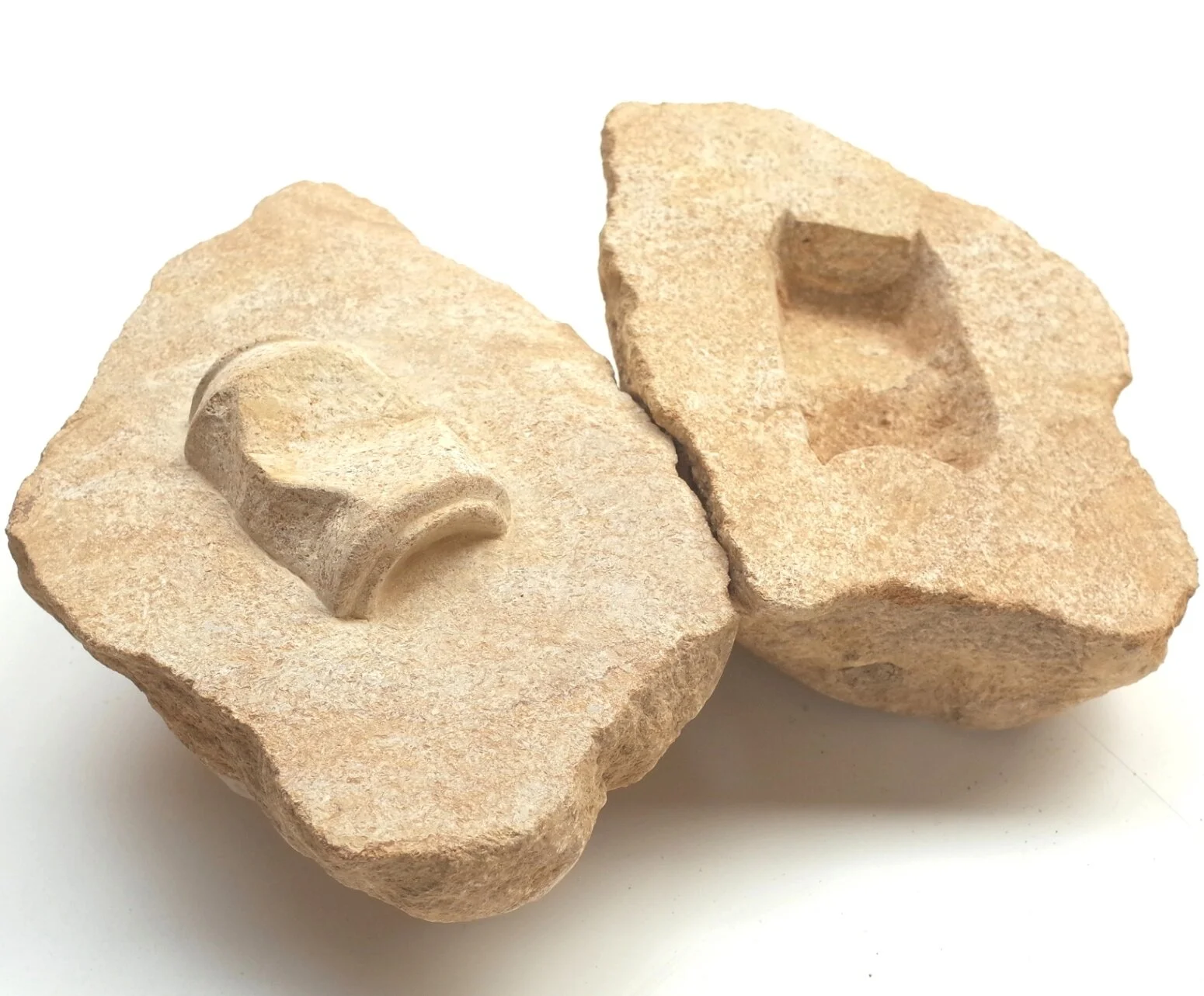 Anthropocene fossil no.2