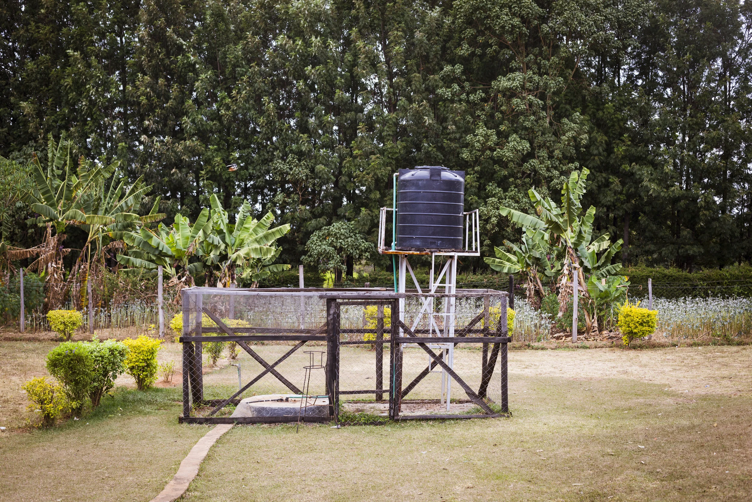 One of the wells my grandfather funded near the nursing college at Freda's. It electrically pumps water up into the black bin where it is stored for use.