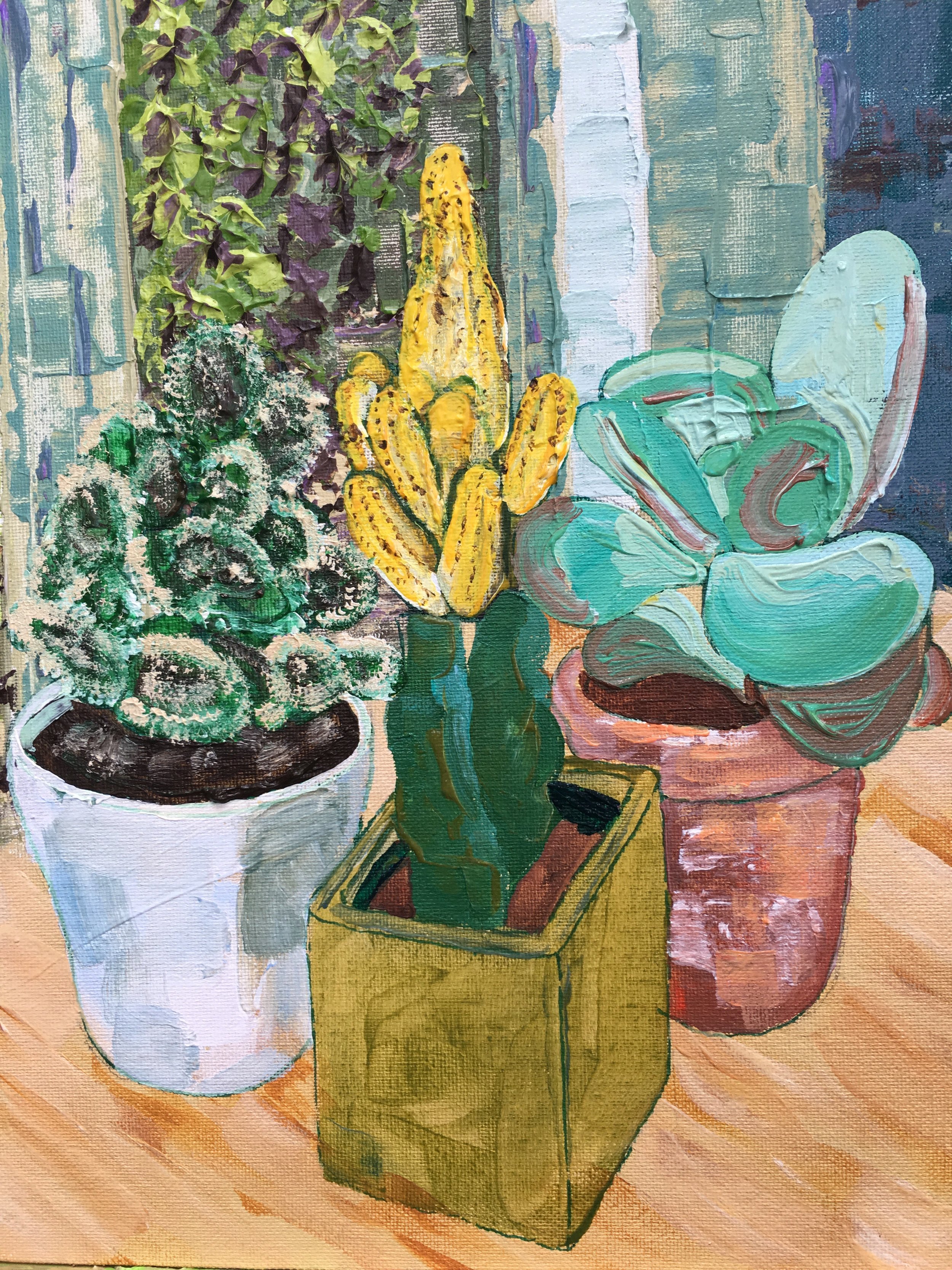   Succulents 2017 , acrylic on board, 30x25cm (image), 38x32.5cm (framed). £450 