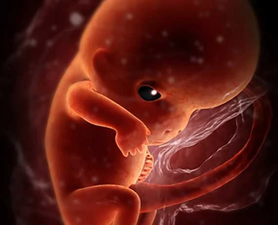 03_LSP_Pregnancy1_Large.jpg