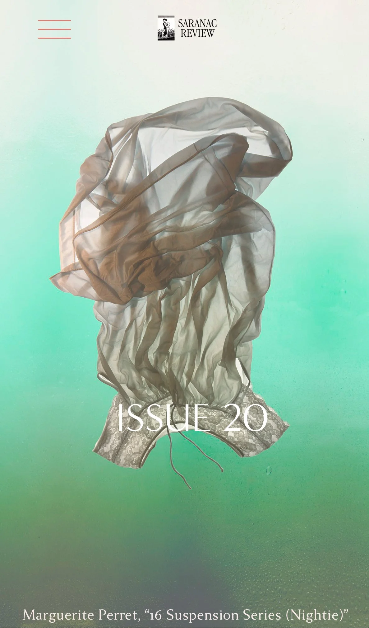 Celebrating Saranac Review's Twentieth Issue