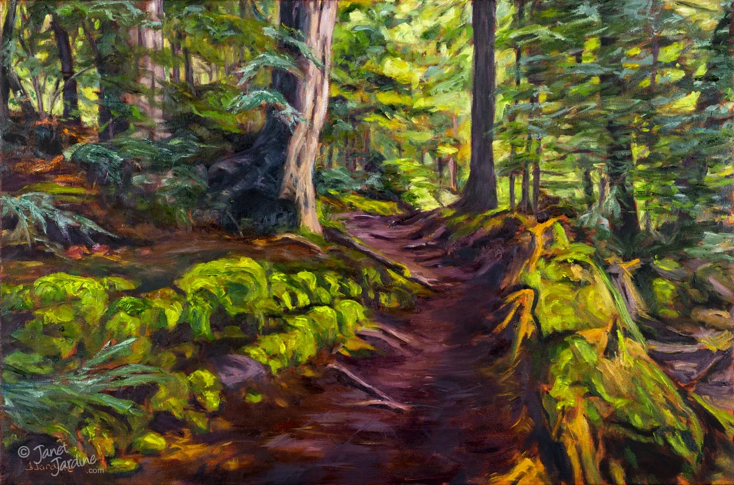 The-Winding-Path_Photo_copyright_Janet_Jardine_SquareSpace.jpg