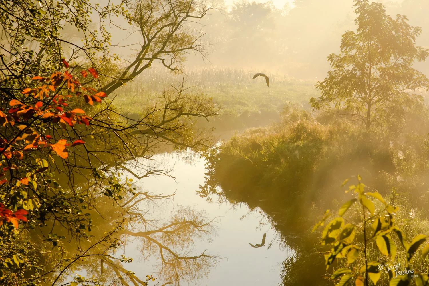 Gentle-Flight-Through-Hendrie-Valley_Photo_copyright_Janet_Jardine.jpg