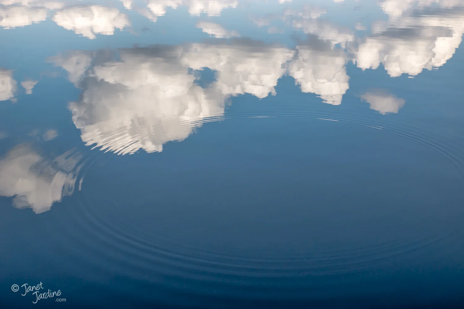 Reflecting-Upon-Clouds_Photo_copyright_Janet_Jardine_SquareSpace.jpg