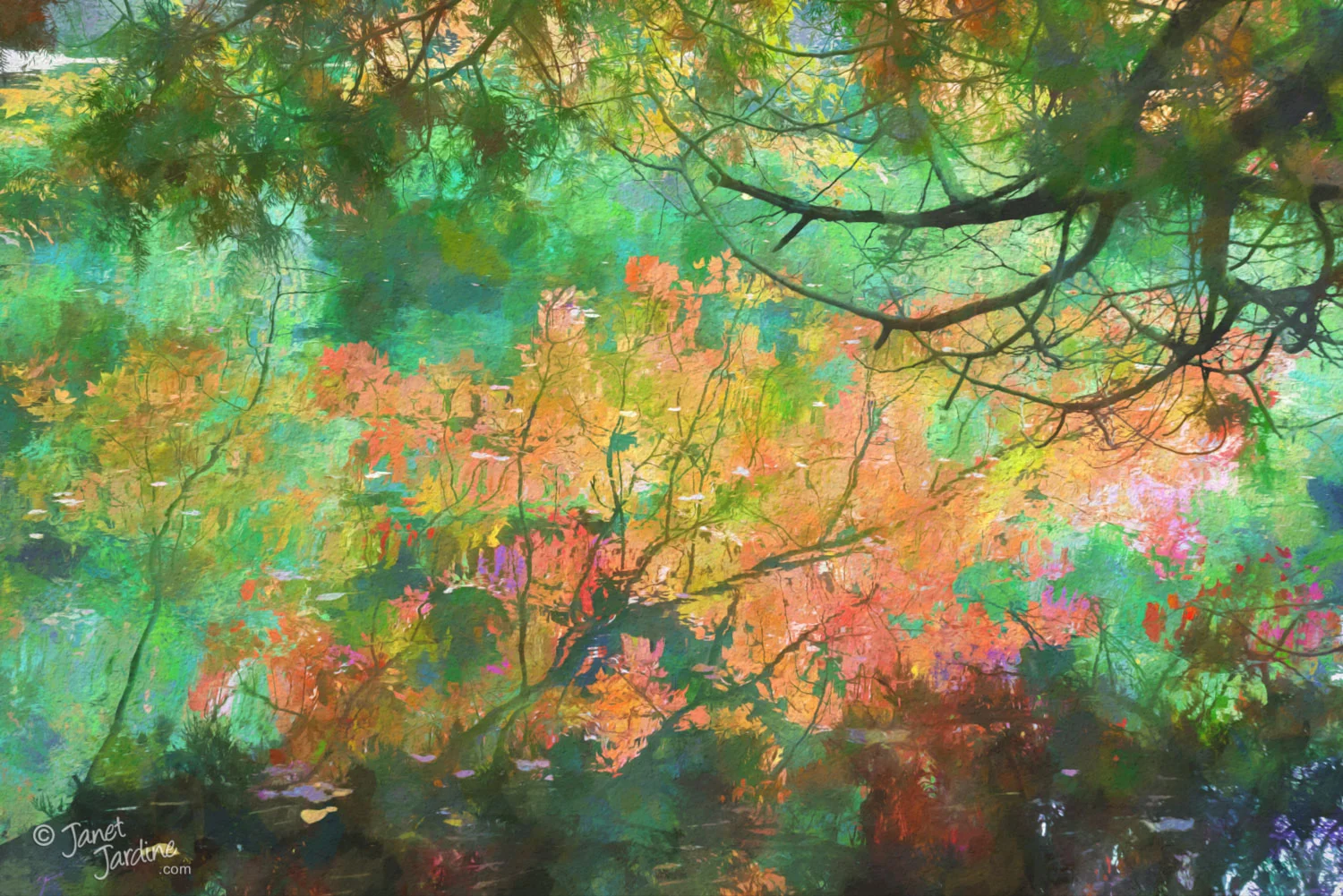 Fall-Reflections---Digital-1_Photo_copyright_Janet_Jardine_SquareSpace.jpg
