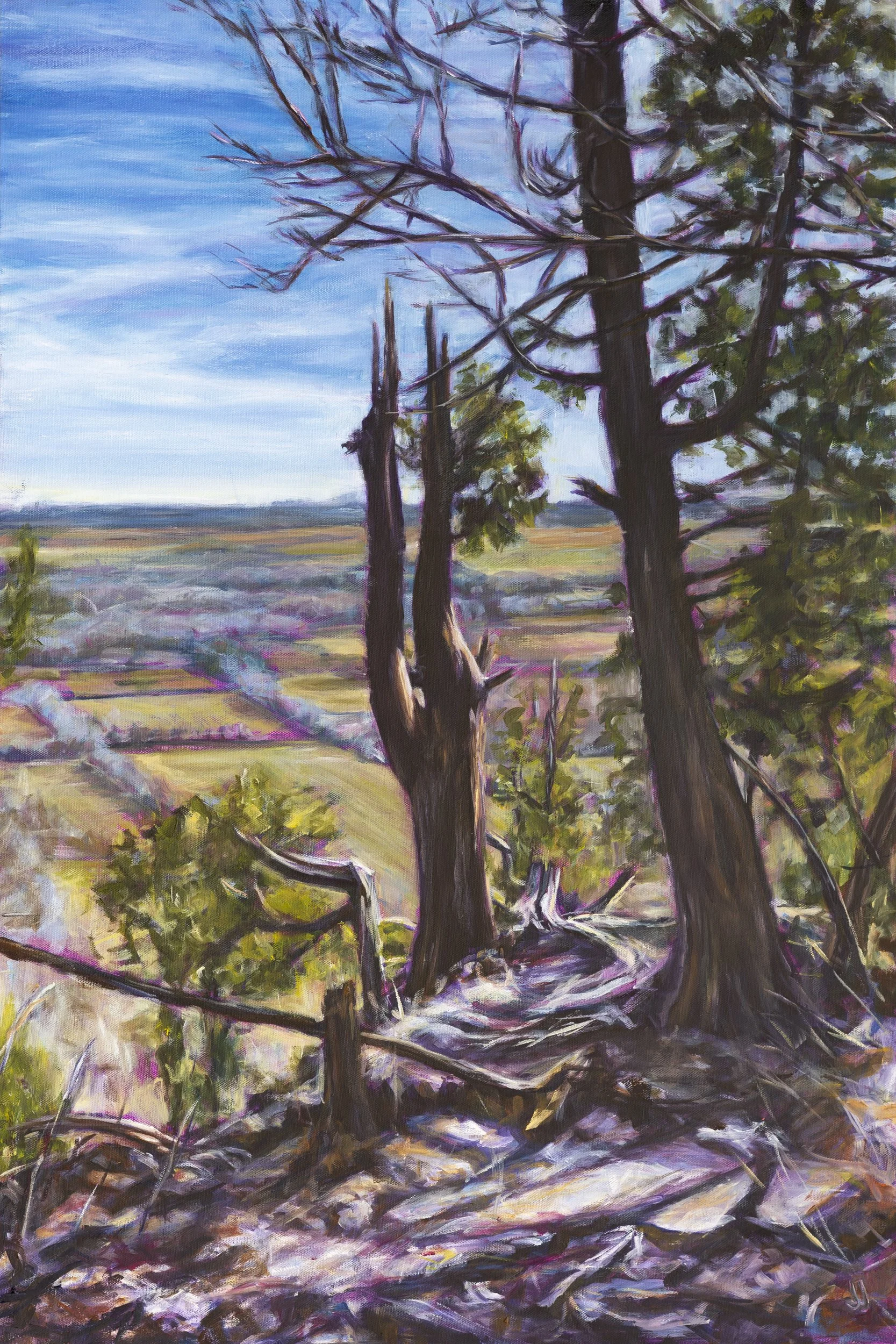 Bruce Trail Inspired 2