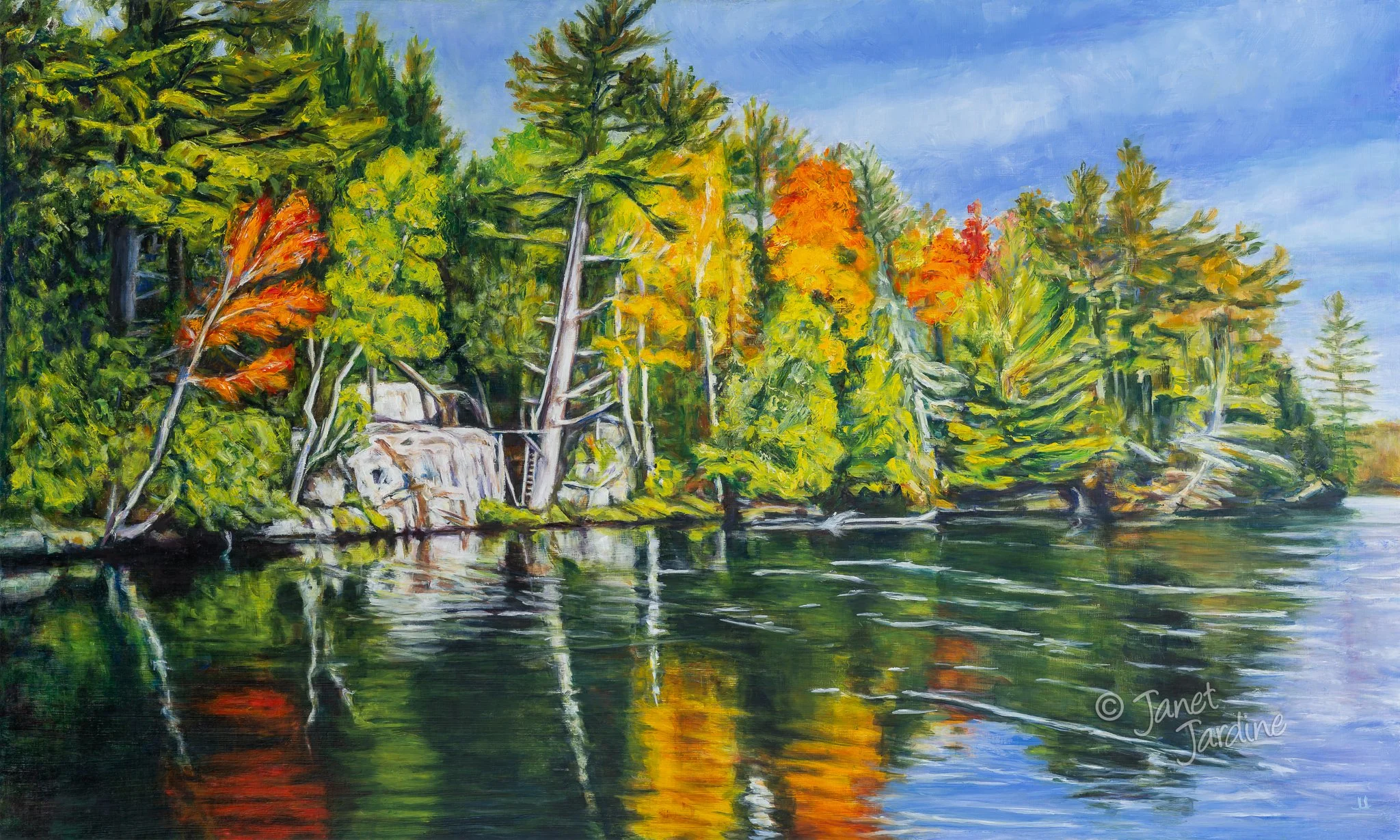 Janet Jardine Commission_Fall Into the Black.jpg