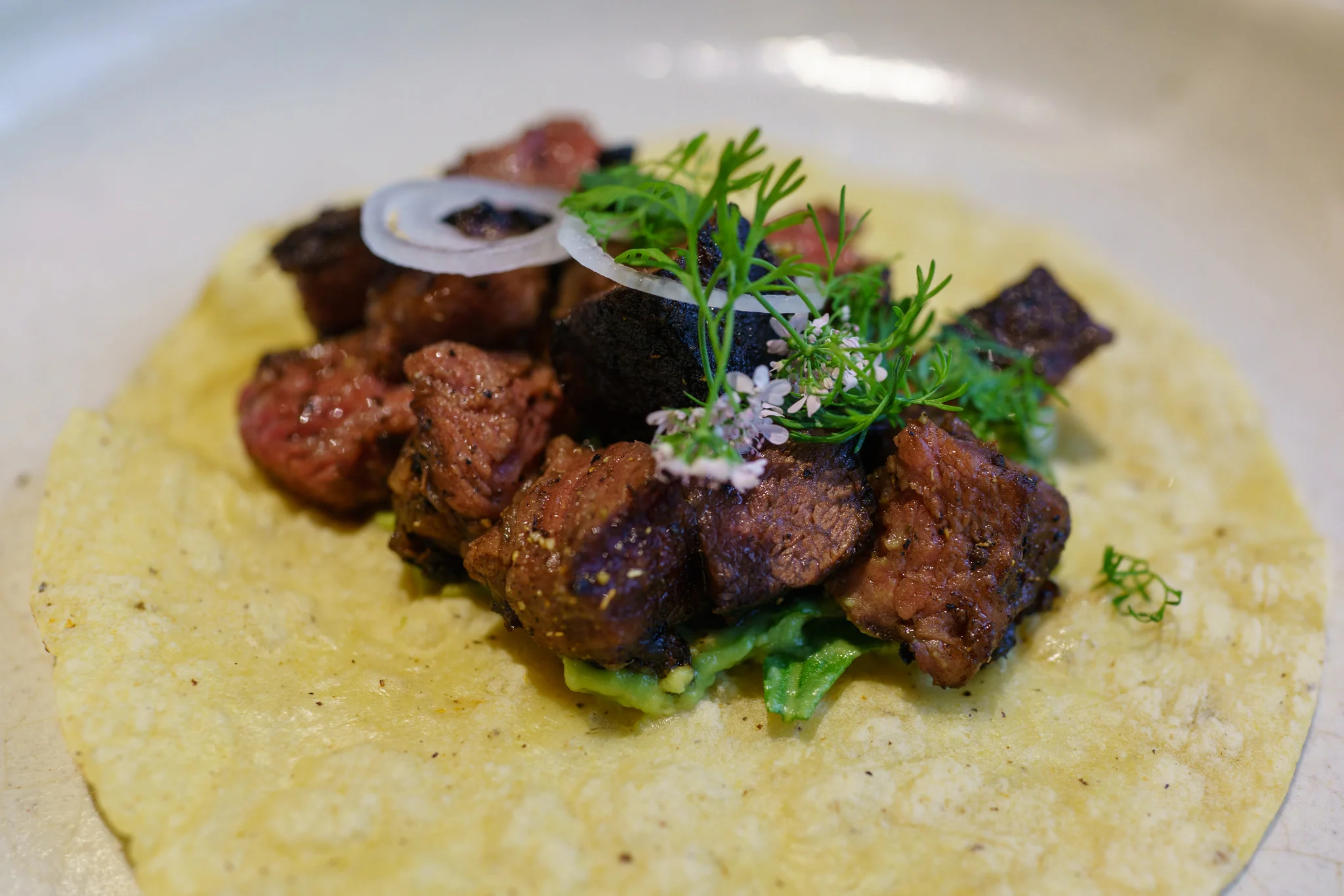 Wagyu Taco at Pujol
