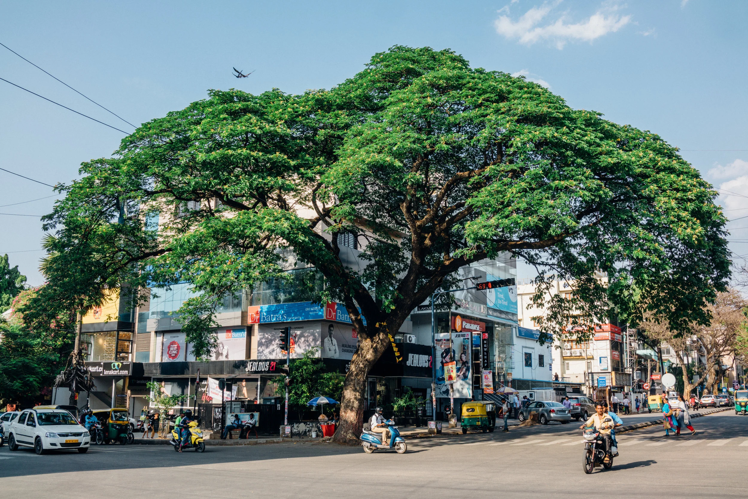 At the intersection of CMH Road and 100 Feet Road in Indiranagar
