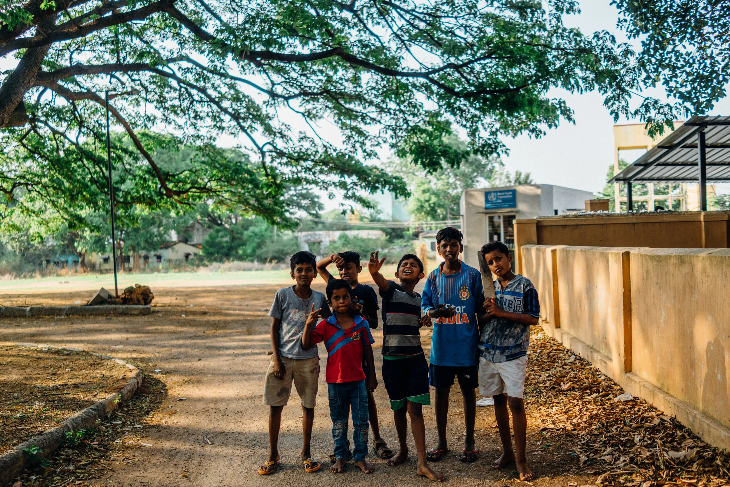Kids under Albizia saman within the Epidemic Diseases Hospital, Bangalore