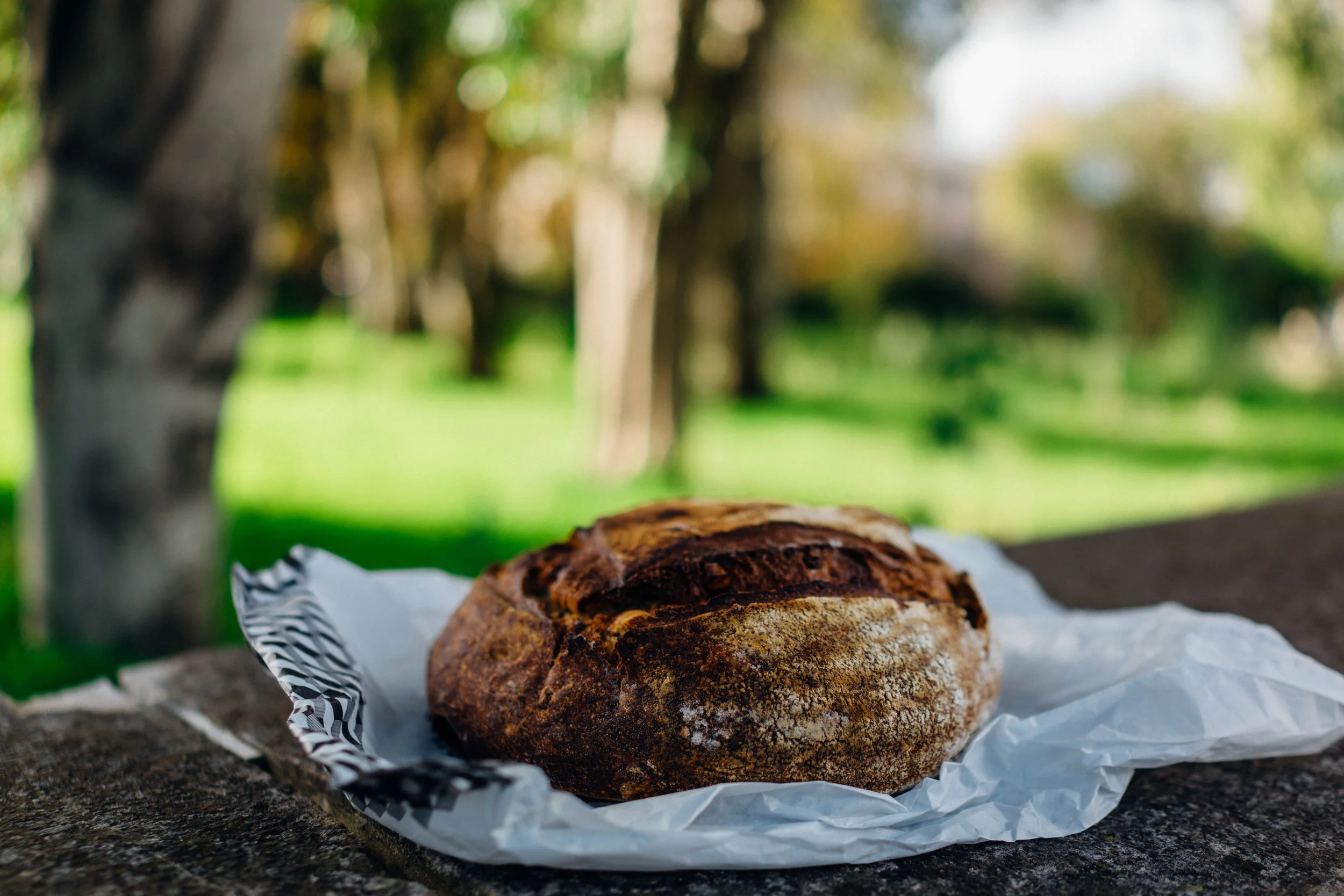 A loaf of A Padaria Portuguesa – LAB’s Pão de Castanhas or Chestnut Bread