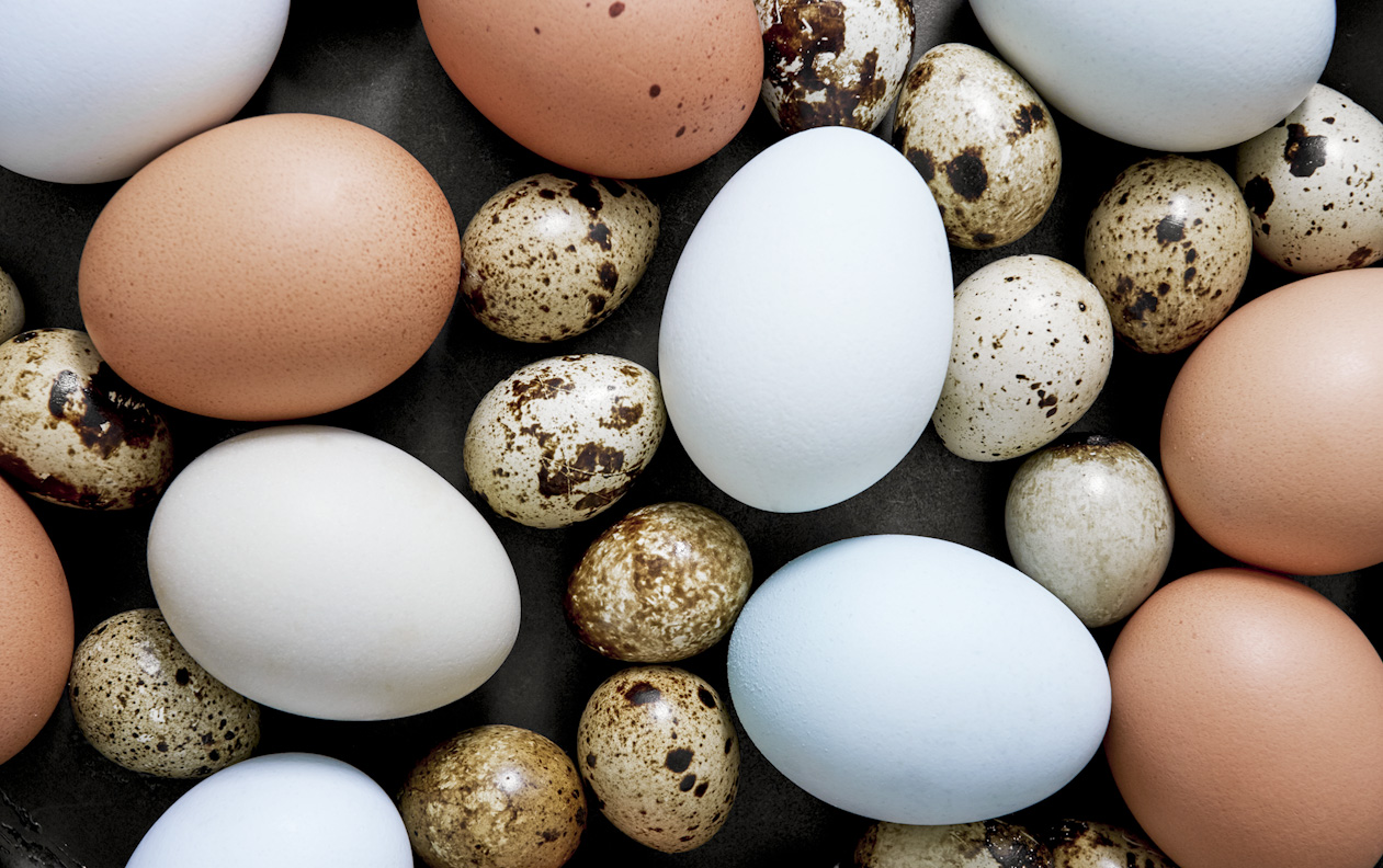quail-eggs-brown-blue-eggs-food-photography.jpg