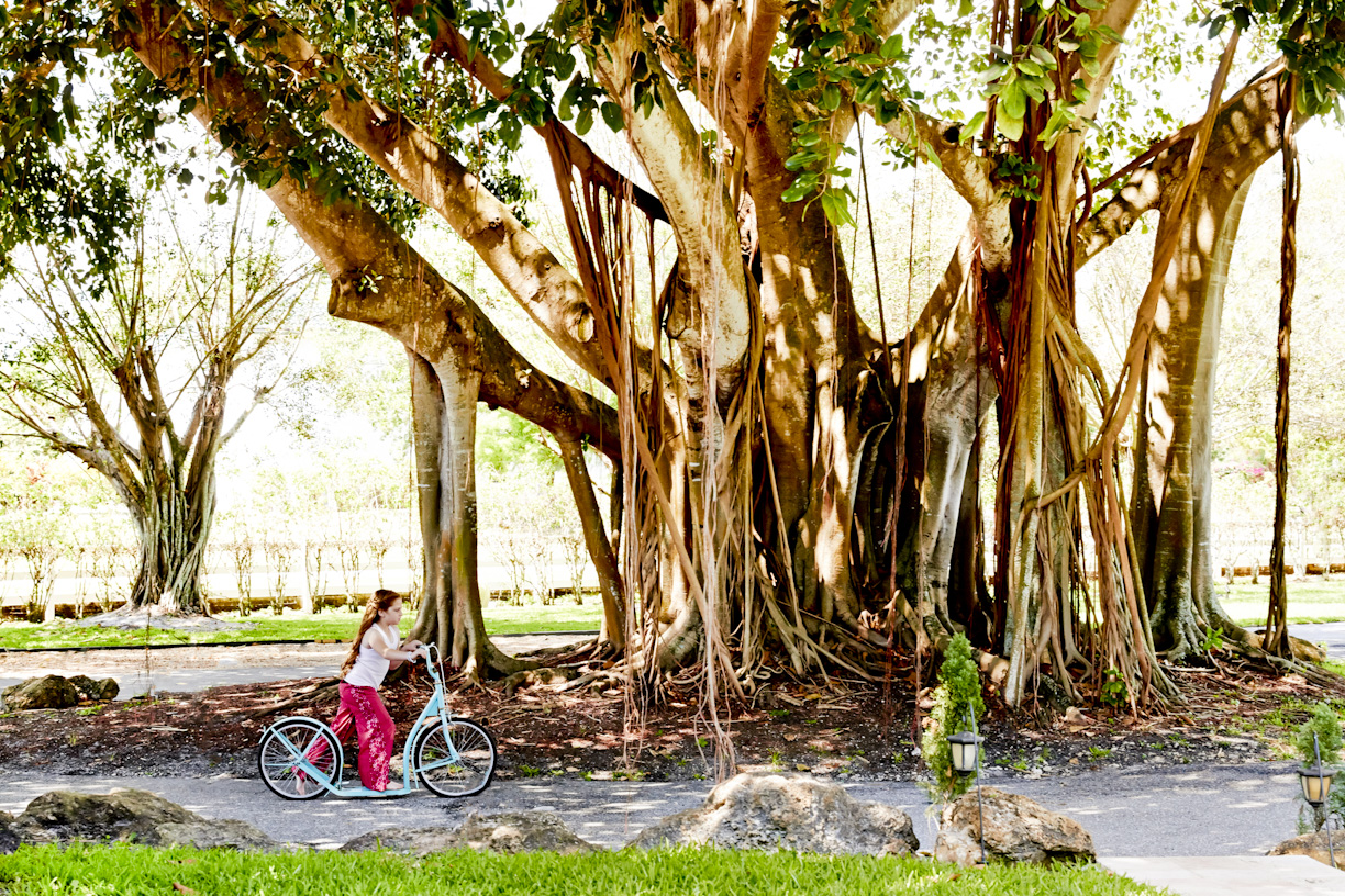 banyan-tree-girl-riding-bicycle-lifestyle-photography.jpg