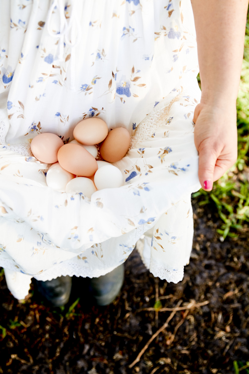 collecting-chickens-eggs-lifestyle-photography.jpg