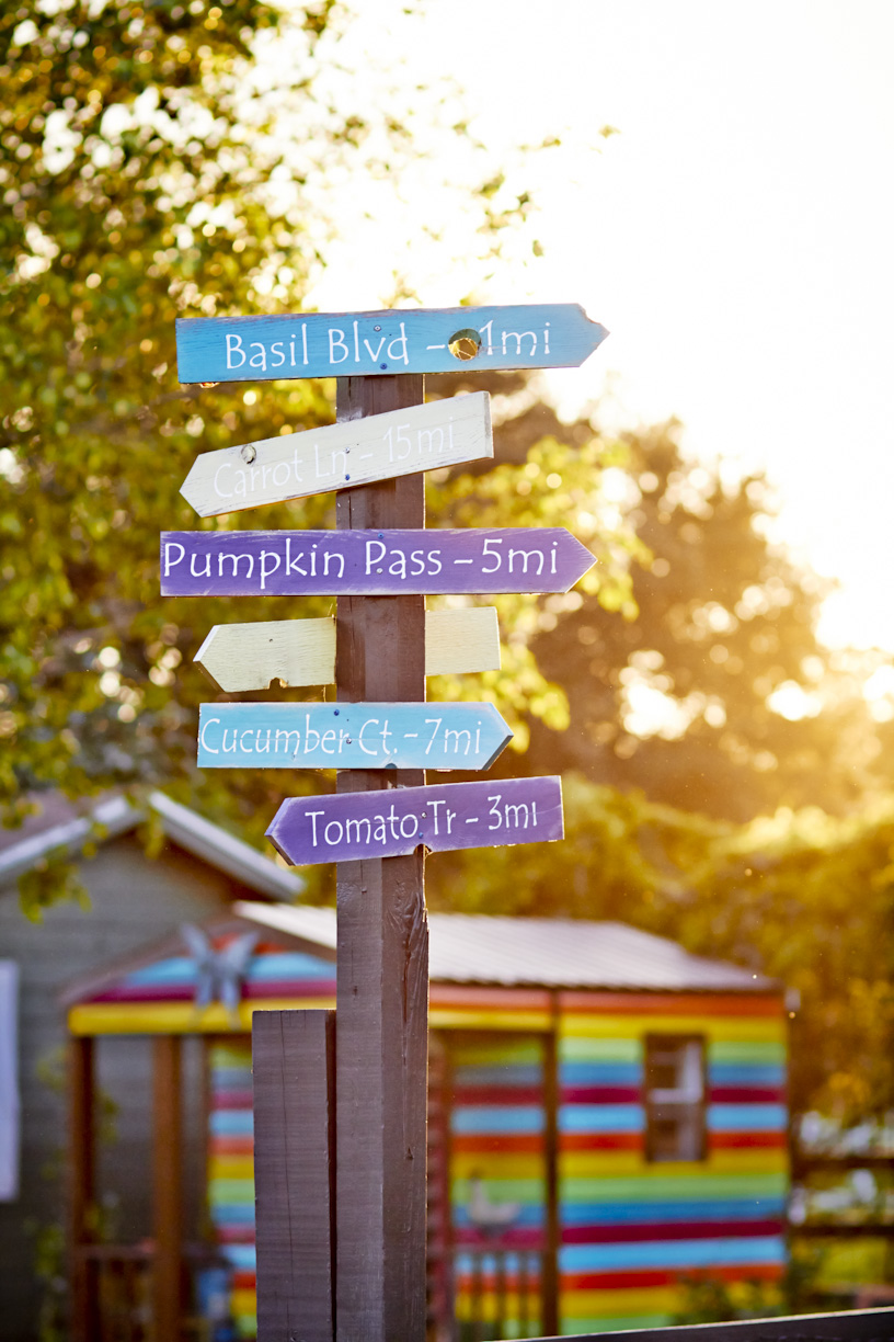 colorful-bohemian-farm-signs-lifestyle-photography.jpg