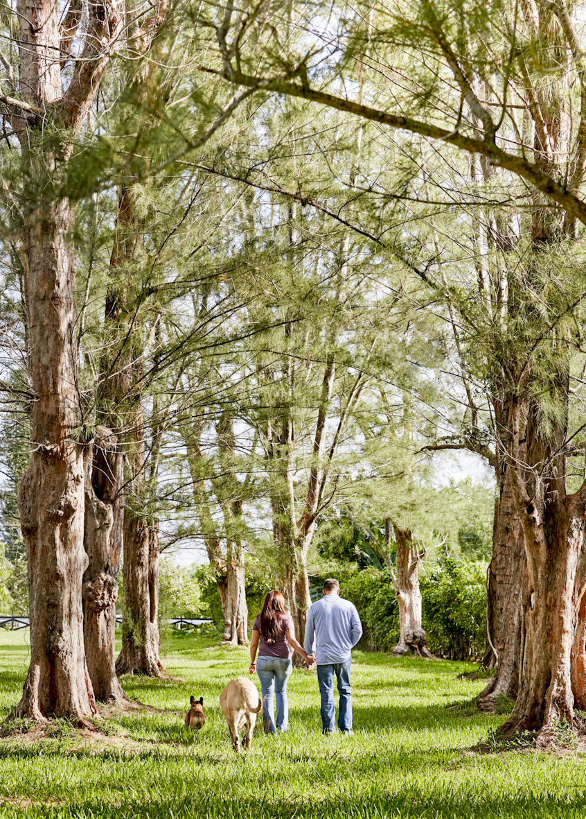 couple-walking-dogs-lifestyle-photography.jpg