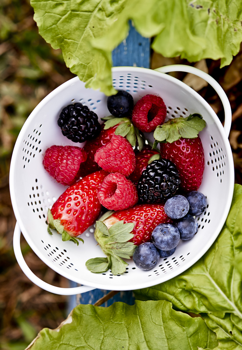 fresh-picked-garden-berries-lifestyle-food-photography.jpg