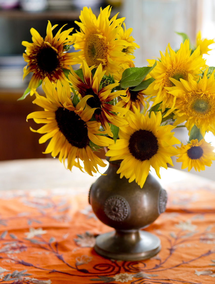 summer-sunflowers-lifestyle-photography.jpg