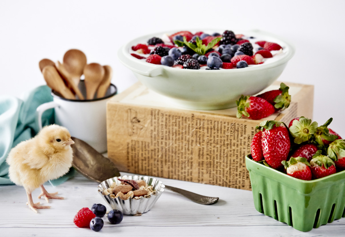 yogurt-fresh-berries-baby-chick-lifestyle-food-photography.jpg