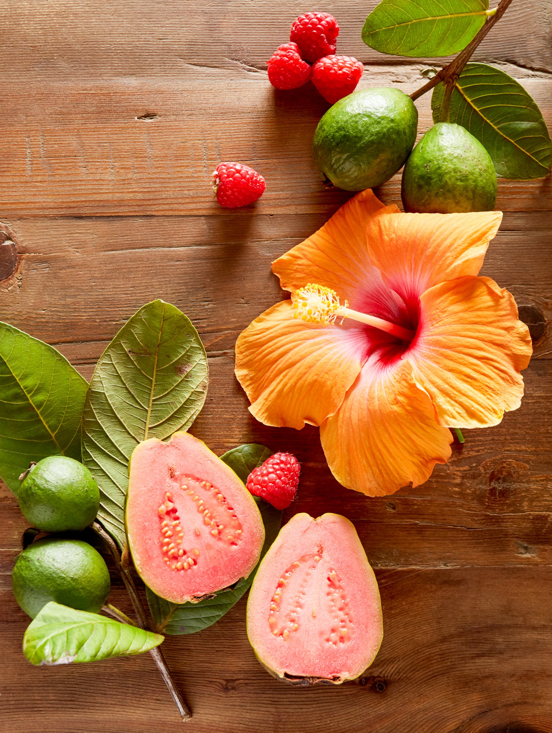 tropical-fruits-hibiscus-flower-guava-1.jpg