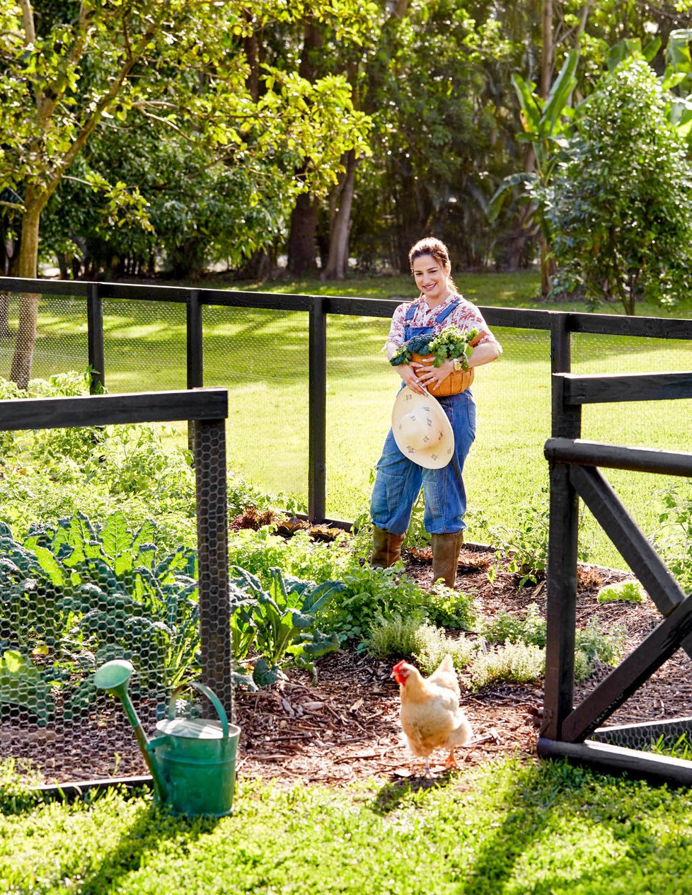 country-garden-harvesting.jpeg