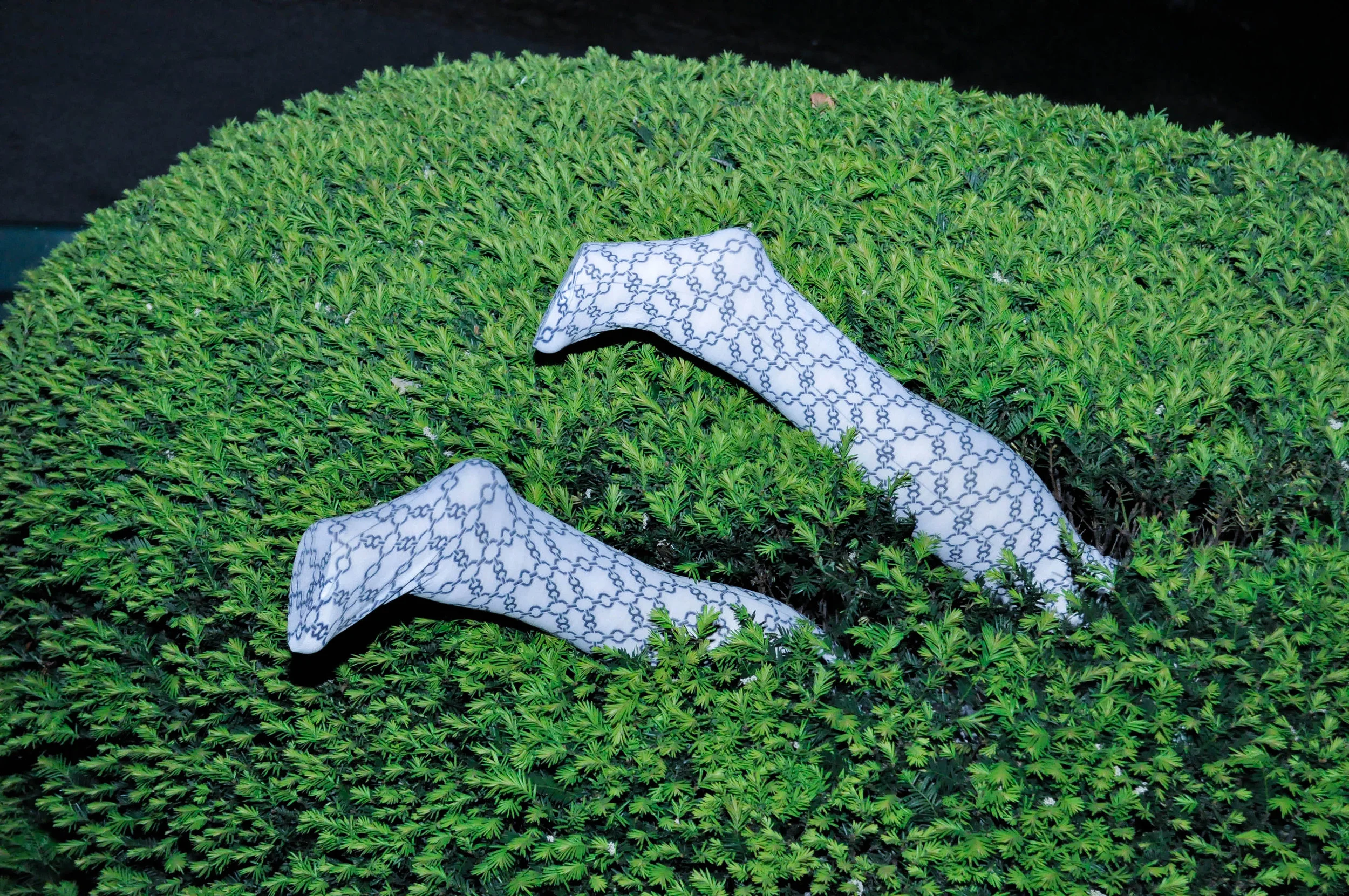 Jardin Noir F/W 2013