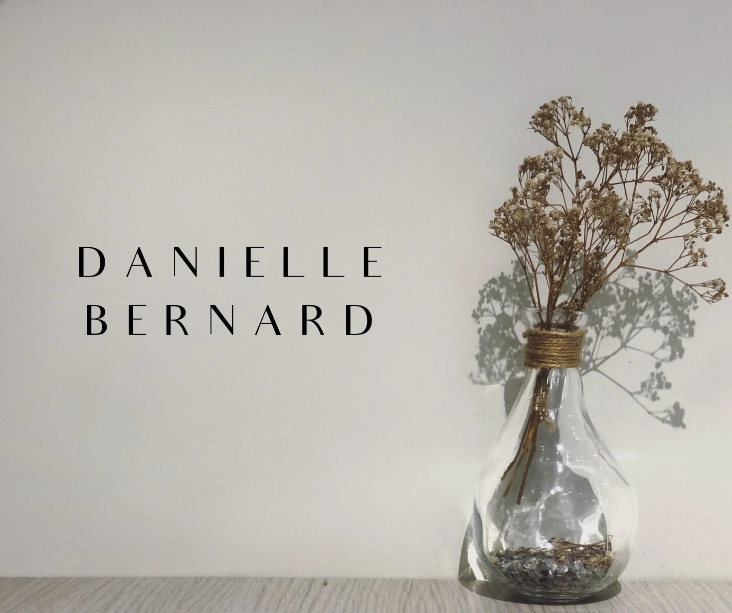 Danielle Bernard Identity Concepts (3).jpg