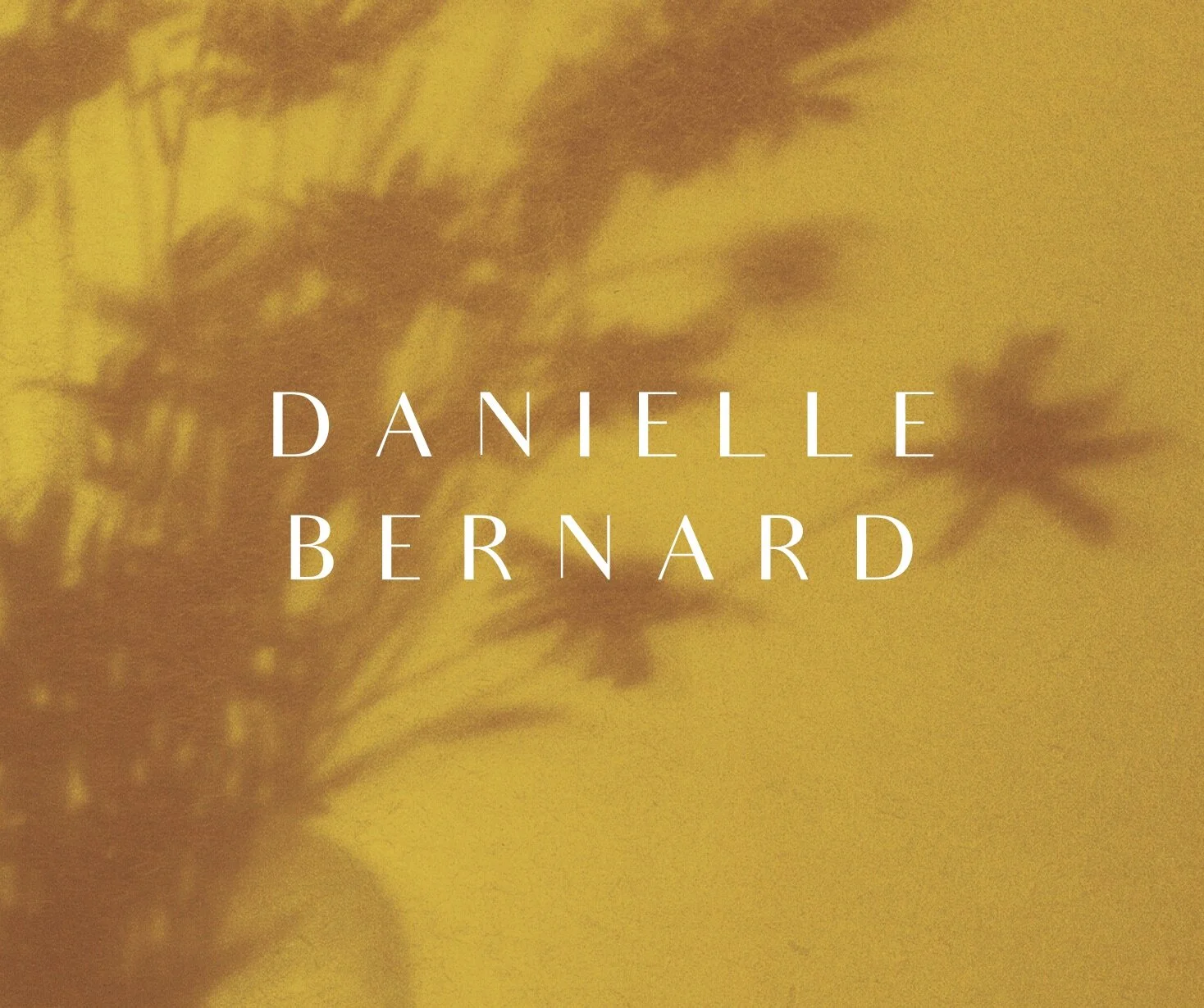 Danielle Bernard Identity Concepts (4).jpg