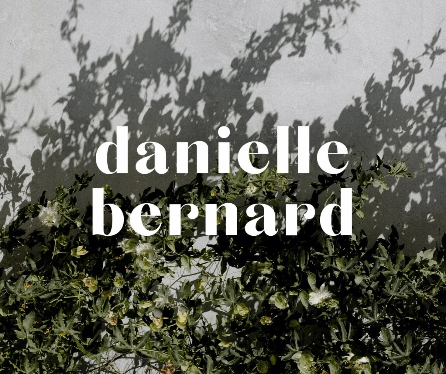 Danielle Bernard Identity Concepts (9).jpg