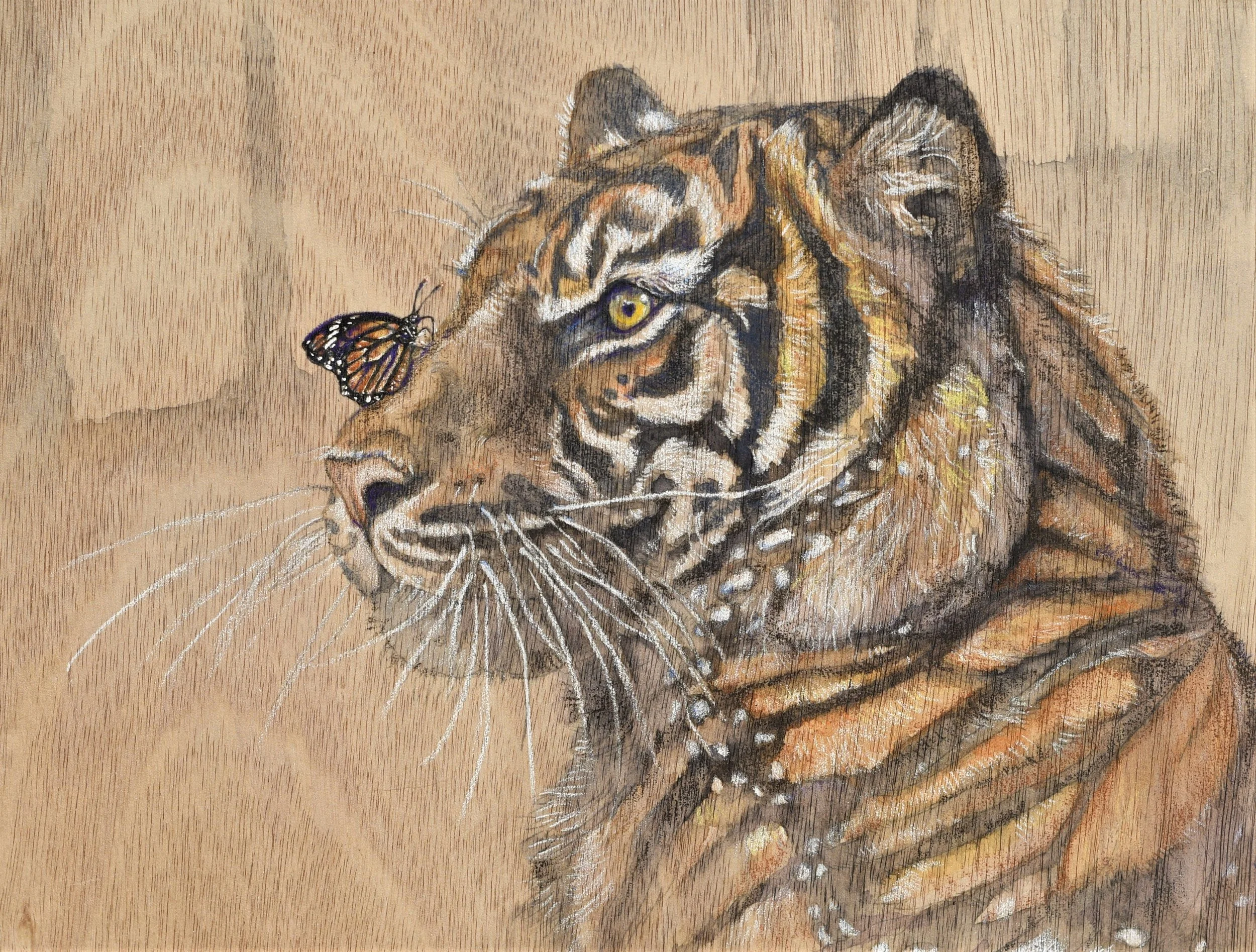 Uncommon Tiger, 2022