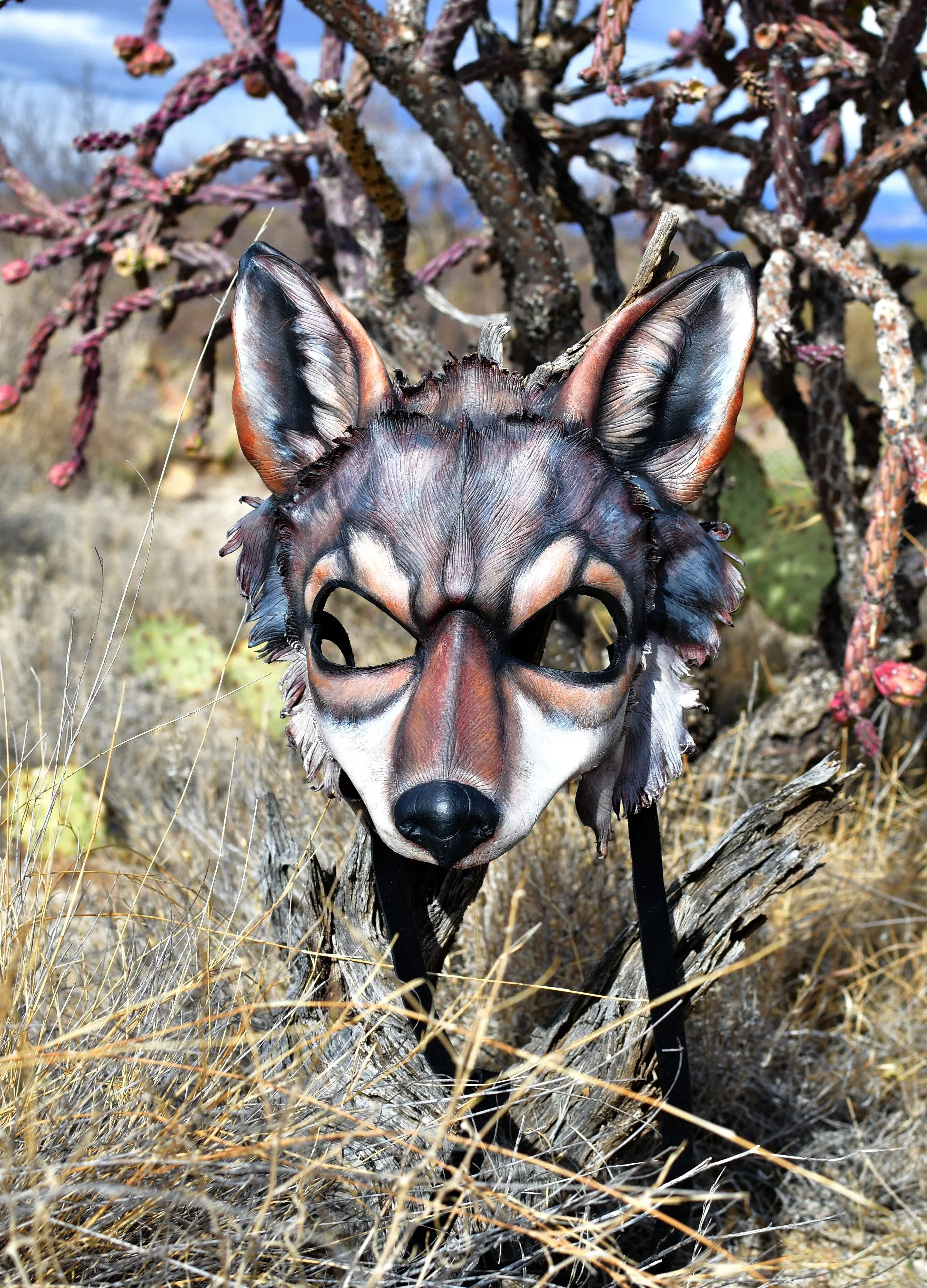 Boltz Cholla.jpg