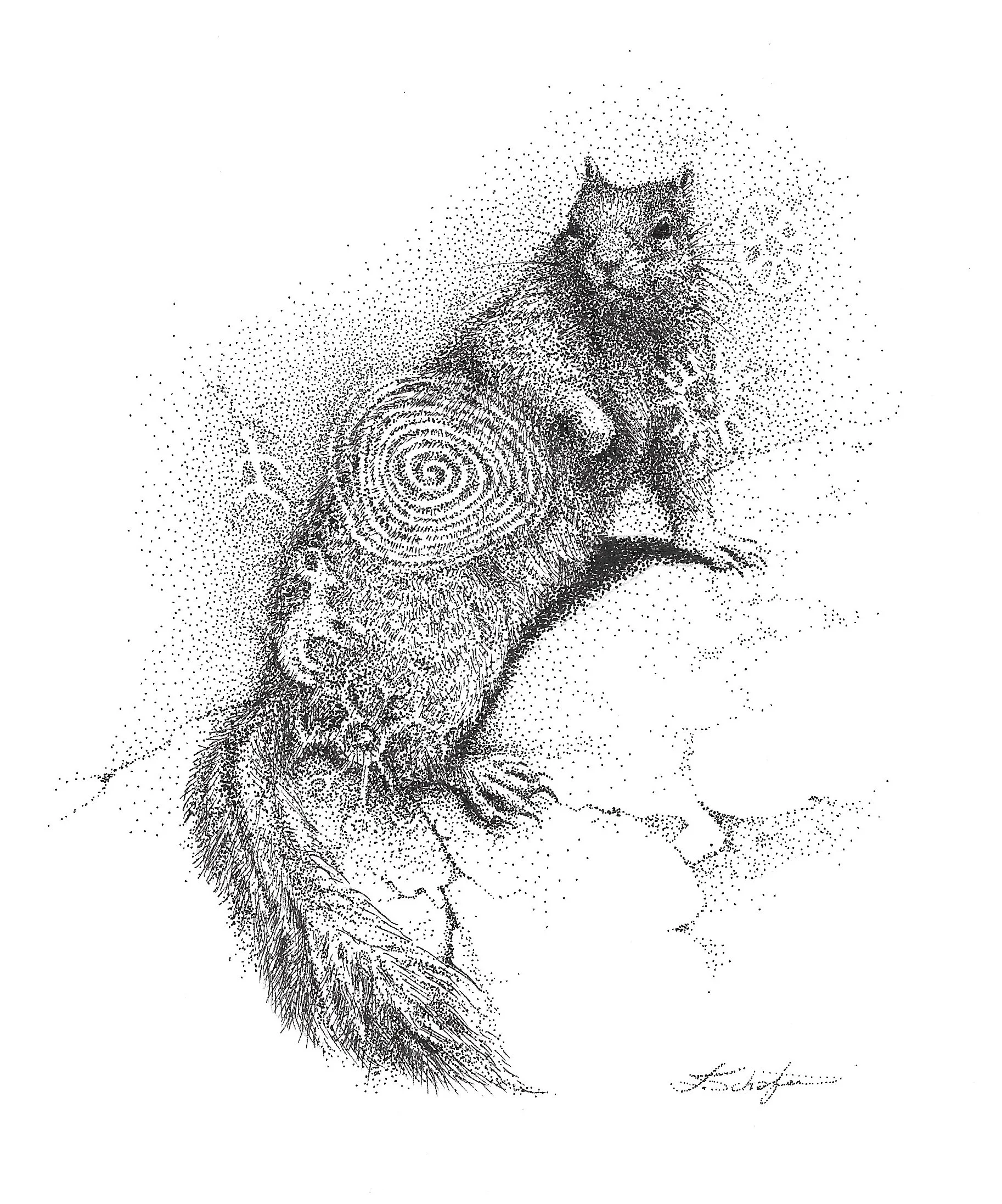 Glyph Squirrel.jpg
