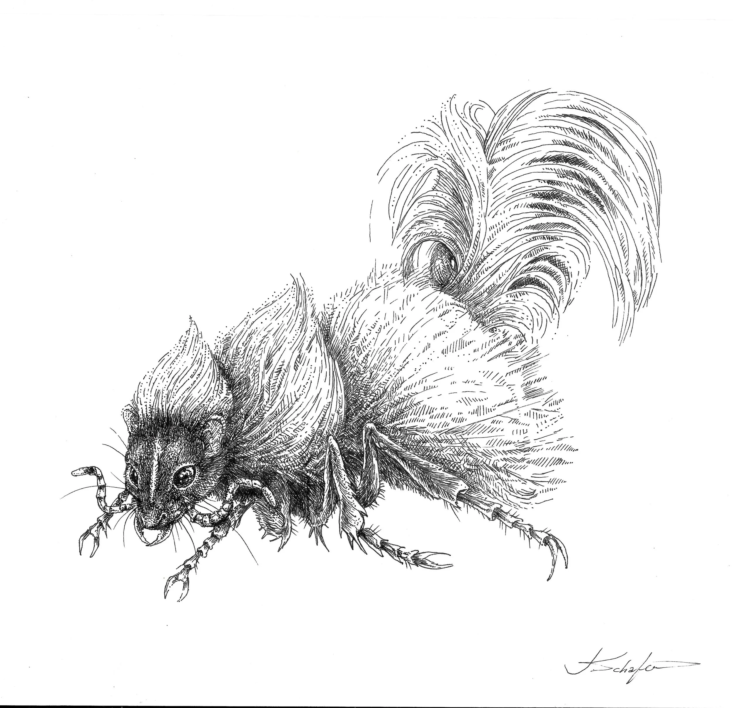 Smellvet Ant sm.jpg