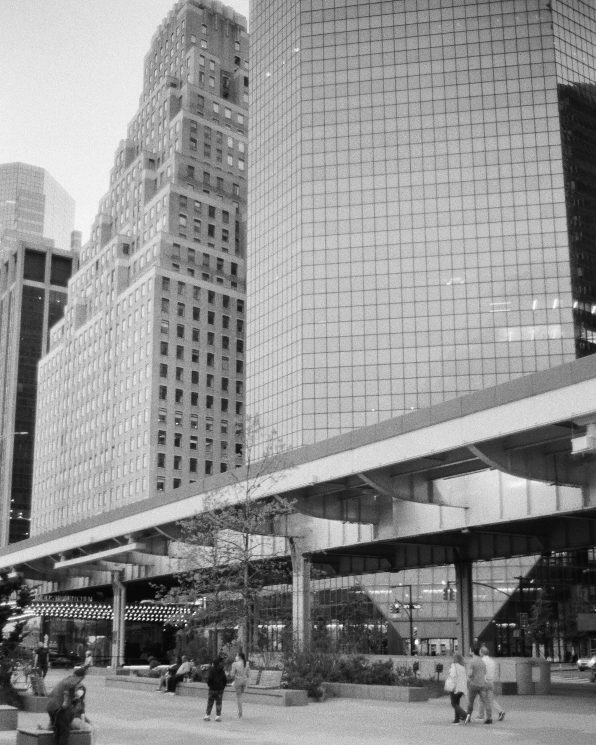 HP5Kosi-7.jpg