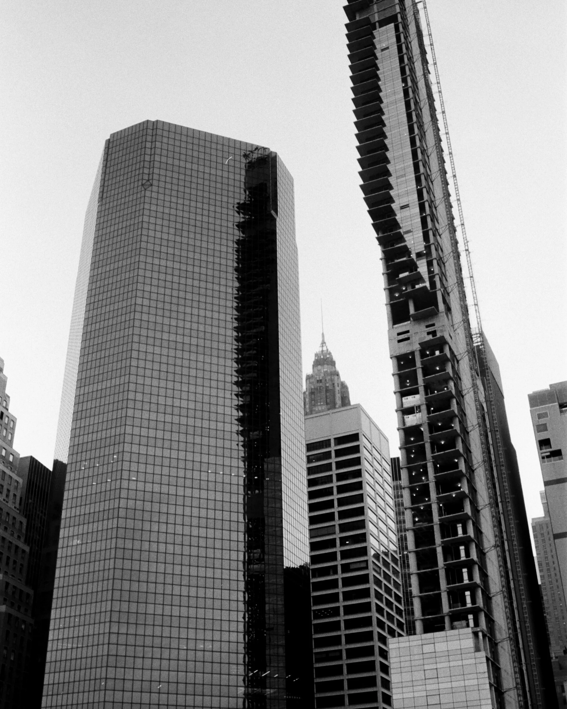 HP5Kosi-29.jpg