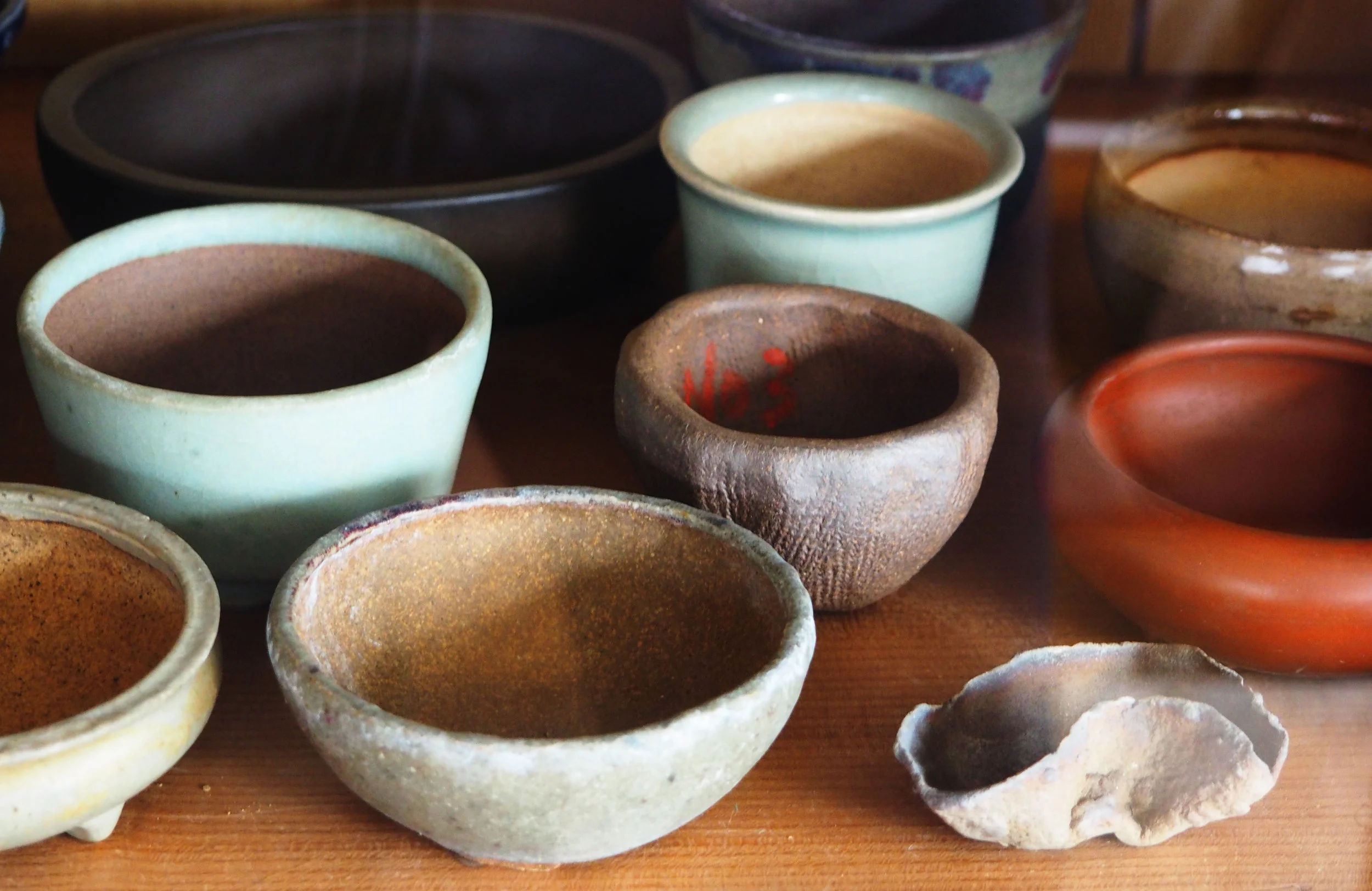 Repotting Class 2018.jpg