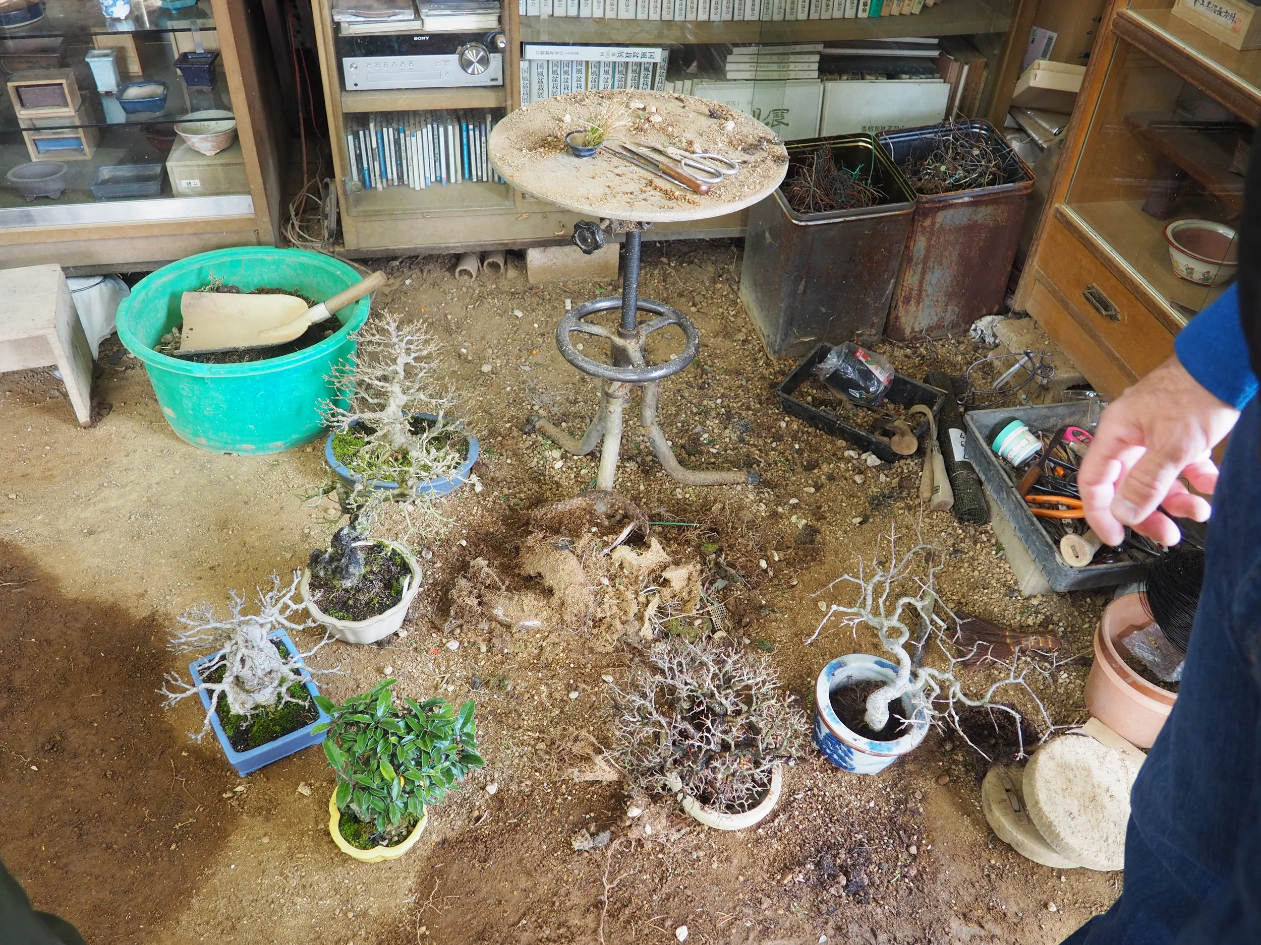 workshop bonsai II.jpg