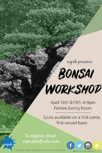 Univeristy of Delaware Bonsai Poster April 2018 small version.jpg