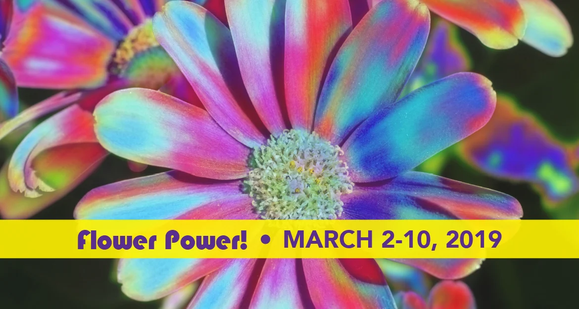 Philadelphia Flower show 2019.jpg