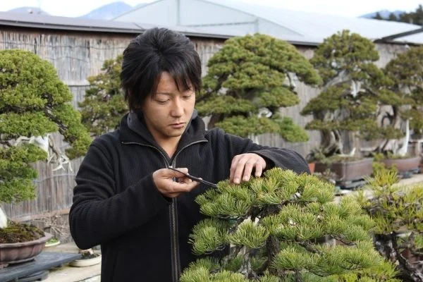 TAIGA URUSHIBATA.jpg