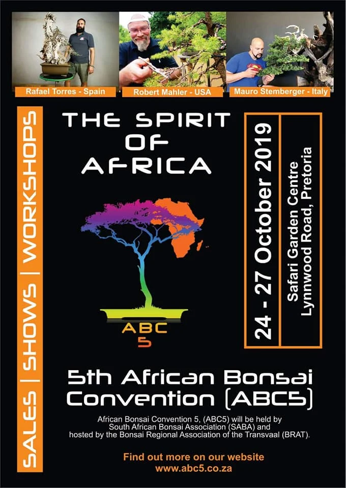 The Spirit of Africa.jpg