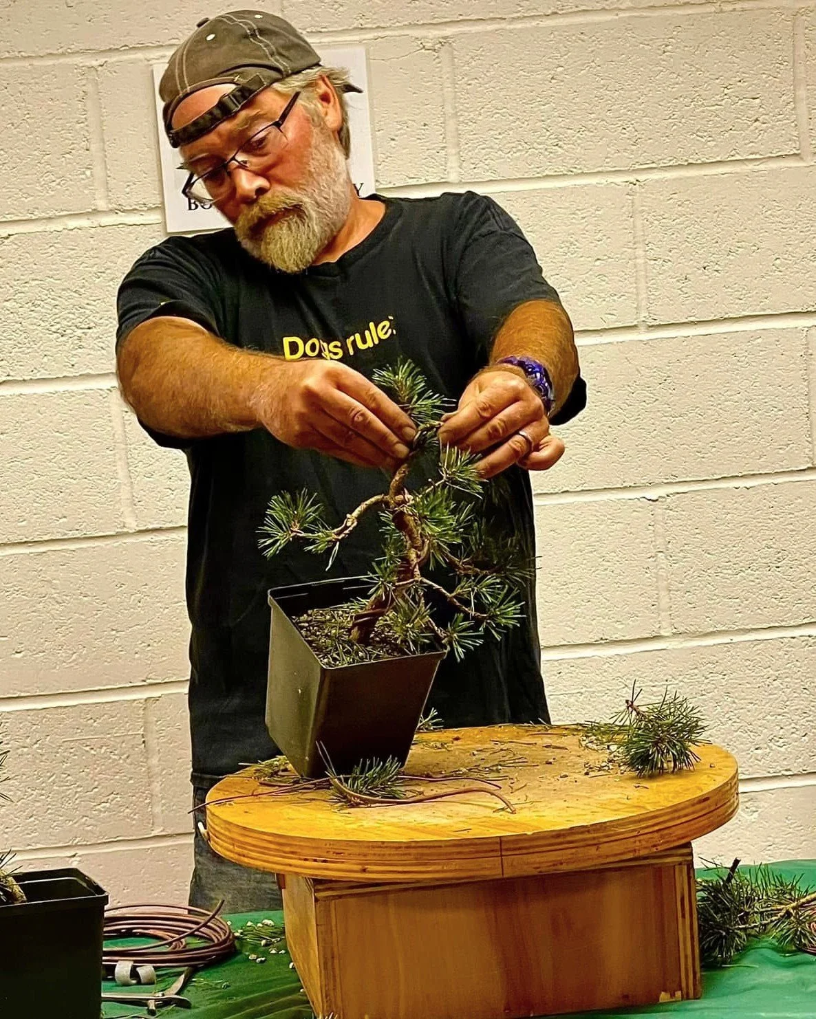 Bob working on Tree.jpg
