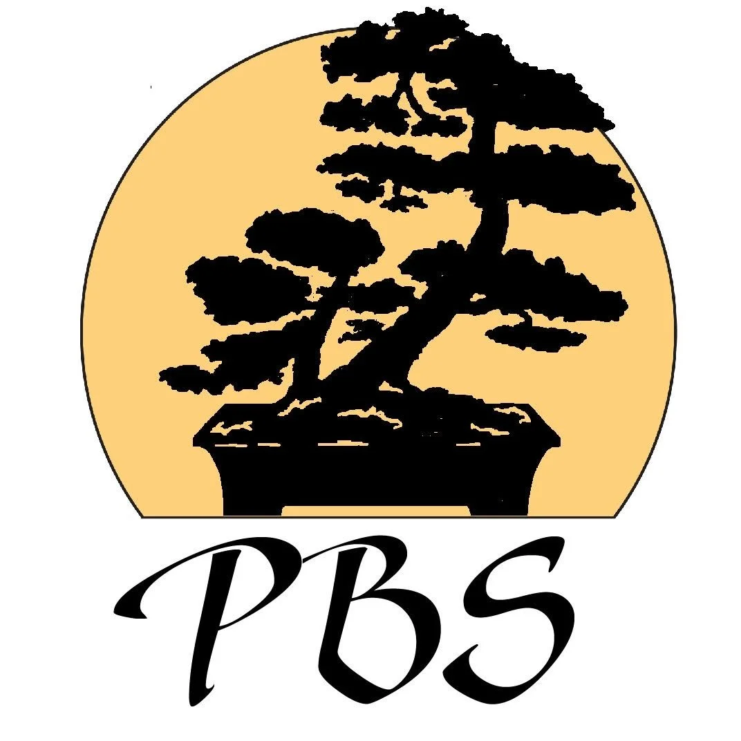 PBS @ Kifu 