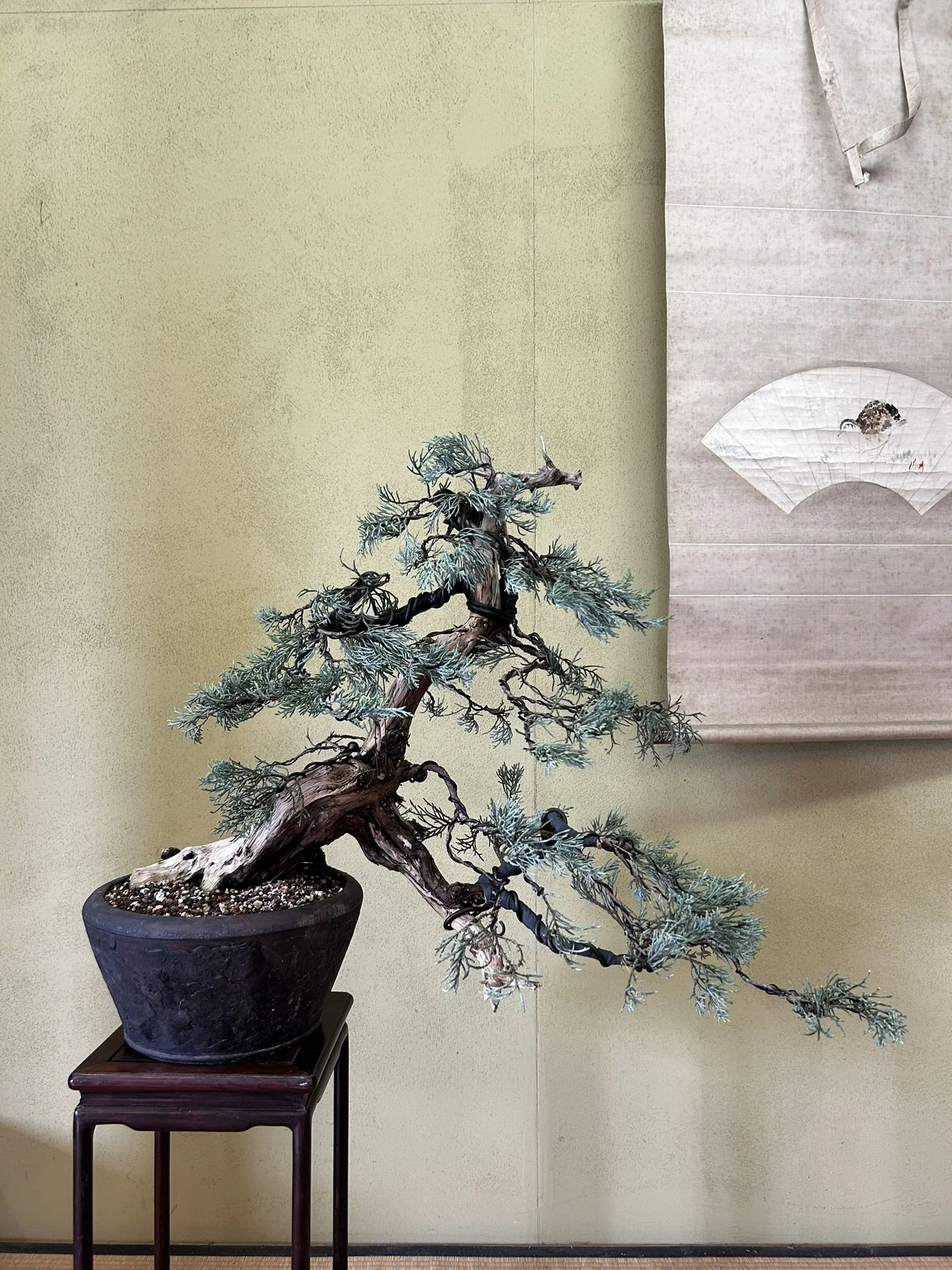 Bring your Own @ Kifu Bonsai 